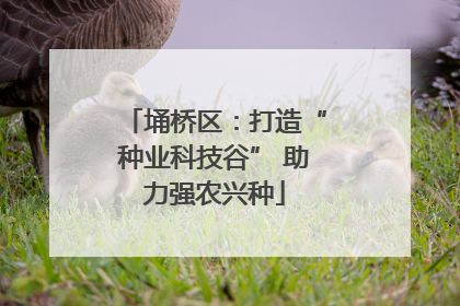 埇桥区：打造“种业科技谷” 助力强农兴种
