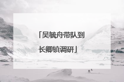 吴毓舟带队到长卿镇调研