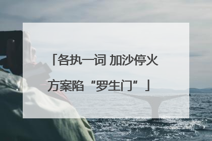各执一词 加沙停火方案陷“罗生门”