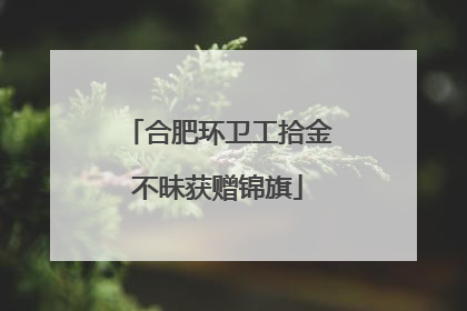 合肥环卫工拾金不昧获赠锦旗
