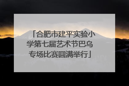 合肥市建平实验小学第七届艺术节巴乌专场比赛圆满举行