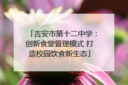 吉安市第十二中学：创新食堂管理模式 打造校园饮食新生态