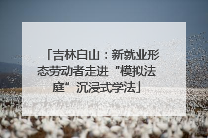 吉林白山：新就业形态劳动者走进“模拟法庭”沉浸式学法