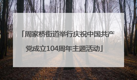 周家桥街道举行庆祝中国共产党成立104周年主题活动