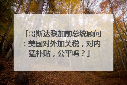 哥斯达黎加前总统顾问：美国对外加关税，对内猛补贴，公平吗？