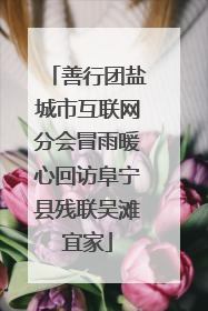 善行团盐城市互联网分会冒雨暖心回访阜宁县残联吴滩宜家