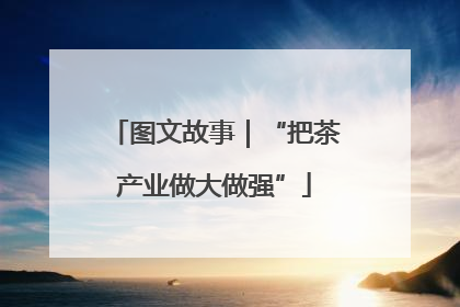图文故事｜“把茶产业做大做强”