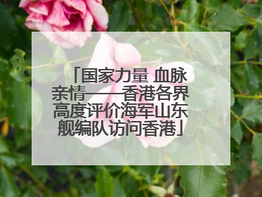 国家力量 血脉亲情——香港各界高度评价海军山东舰编队访问香港