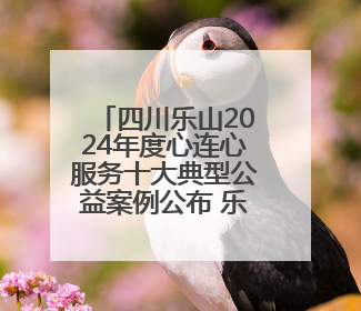 四川乐山2024年度心连心服务十大典型公益案例公布 乐山北站更名、绿心路井盖治理等上榜