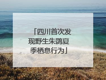四川首次发现野生朱鹮夏季栖息行为