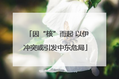 因“核”而起 以伊冲突或引发中东危局