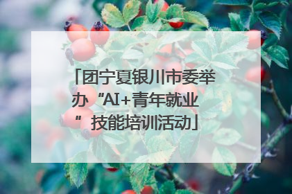 团宁夏银川市委举办“AI+青年就业”技能培训活动