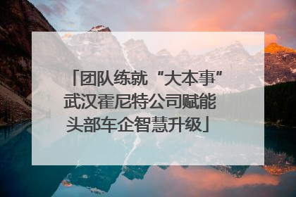 团队练就“大本事” 武汉霍尼特公司赋能头部车企智慧升级