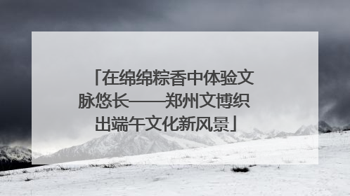在绵绵粽香中体验文脉悠长——郑州文博织出端午文化新风景