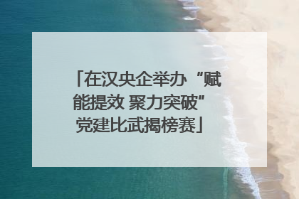 在汉央企举办“赋能提效 聚力突破”党建比武揭榜赛