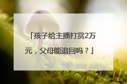 孩子给主播打赏2万元，父母能追回吗？