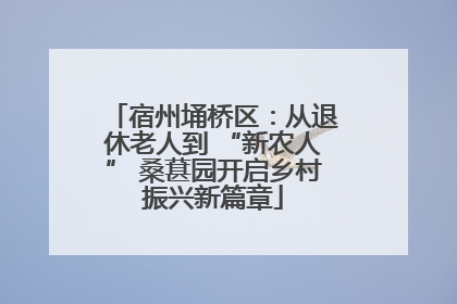 宿州埇桥区：从退休老人到 “新农人” 桑葚园开启乡村振兴新篇章