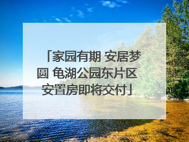 家园有期 安居梦圆 龟湖公园东片区安置房即将交付