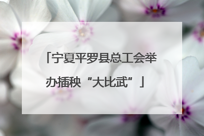 宁夏平罗县总工会举办插秧“大比武”