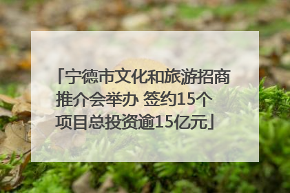宁德市文化和旅游招商推介会举办 签约15个项目总投资逾15亿元