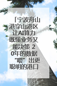 宁波舟山港穿山港区让AI算力既懂业务又能决策 20年的数据“喂”出更聪明的港口