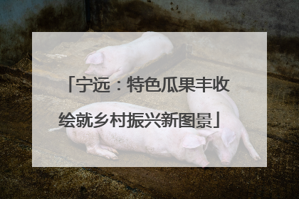 宁远：特色瓜果丰收绘就乡村振兴新图景