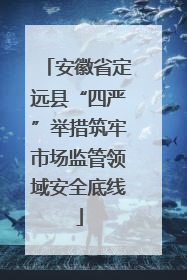 安徽省定远县“四严”举措筑牢市场监管领域安全底线