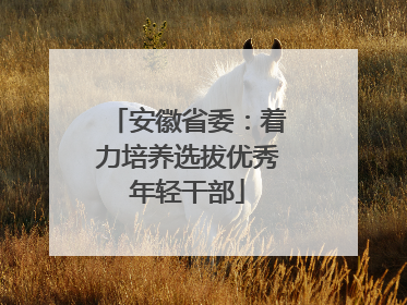 安徽省委：着力培养选拔优秀年轻干部