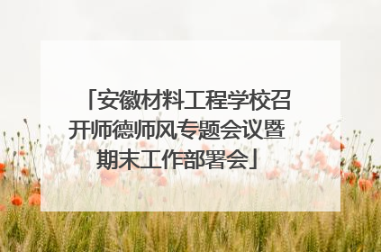 安徽材料工程学校召开师德师风专题会议暨期末工作部署会