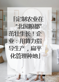定制农业在“北国粮都”茁壮生长！企业：用算力指导生产，扁平化管理种地