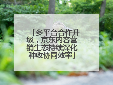 多平台合作升级，京东内容营销生态持续深化种收协同效率