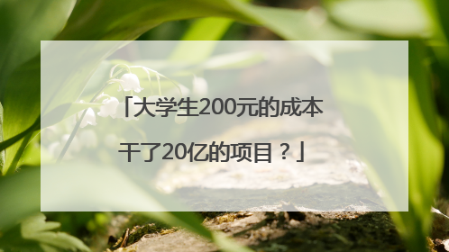 大学生200元的成本干了20亿的项目？