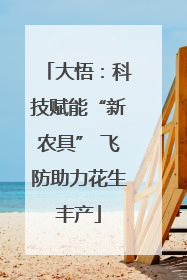 大悟：科技赋能“新农具” 飞防助力花生丰产