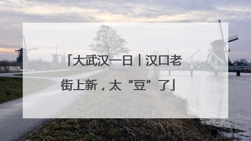 大武汉一日︱汉口老街上新，太“豆”了