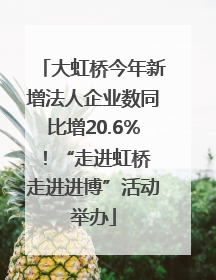 大虹桥今年新增法人企业数同比增20.6%！“走进虹桥 走进进博”活动举办