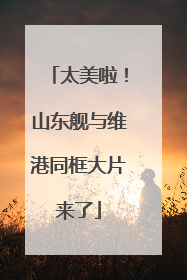 太美啦！山东舰与维港同框大片来了