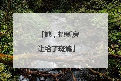 她，把新房让给了斑鸠