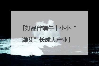 好品伴端午丨小小“潍艾”长成大产业