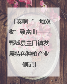 奏响“一地双收”致富曲——鄄城县董口镇发展特色种植产业侧记