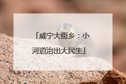 威宁大街乡：小河道治出大民生