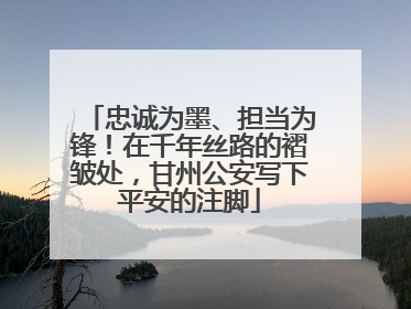 忠诚为墨、担当为锋！在千年丝路的褶皱处，甘州公安写下平安的注脚