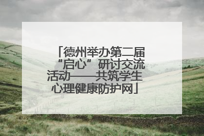 德州举办第二届“启心”研讨交流活动——共筑学生心理健康防护网