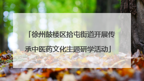 徐州鼓楼区拾屯街道开展传承中医药文化主题研学活动