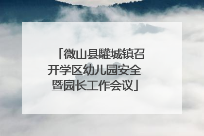 微山县驩城镇召开学区幼儿园安全暨园长工作会议