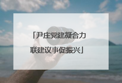 尹庄党建凝合力 联建议事促振兴