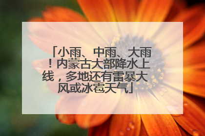 小雨、中雨、大雨！内蒙古大部降水上线，多地还有雷暴大风或冰雹天气
