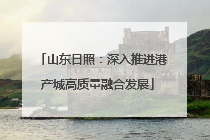 山东日照：深入推进港产城高质量融合发展