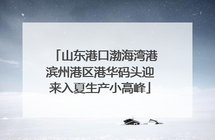 山东港口渤海湾港滨州港区港华码头迎来入夏生产小高峰