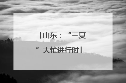 山东：“三夏”大忙进行时