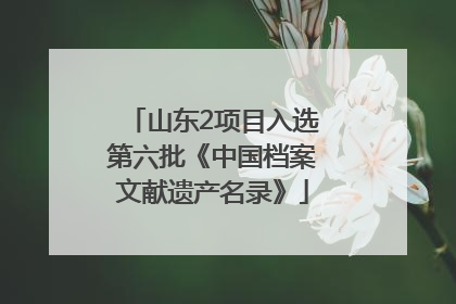 山东2项目入选第六批《中国档案文献遗产名录》